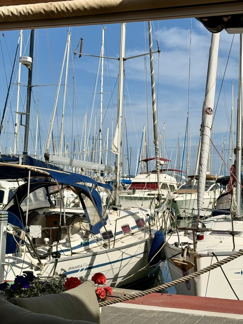 Torrevieja marina